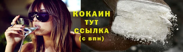 шишки Абинск