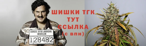 шишки Абинск