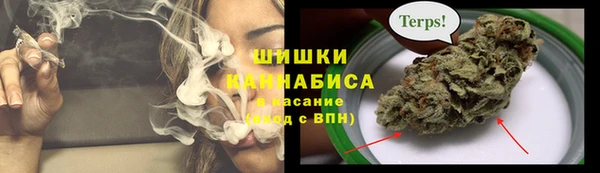 шишки Абинск