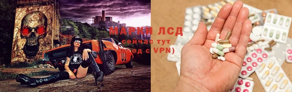 шишки Абинск