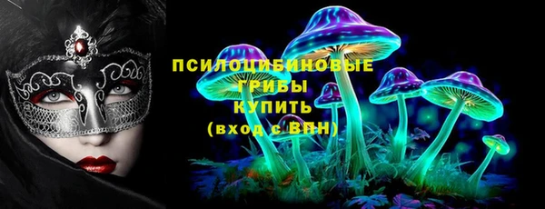 шишки Абинск